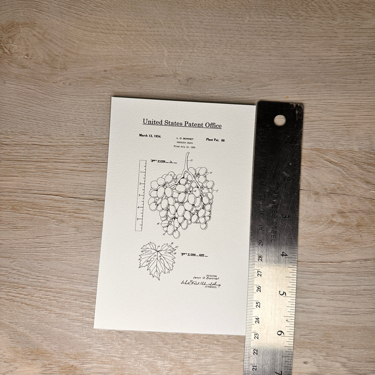 Fruit patent postcards