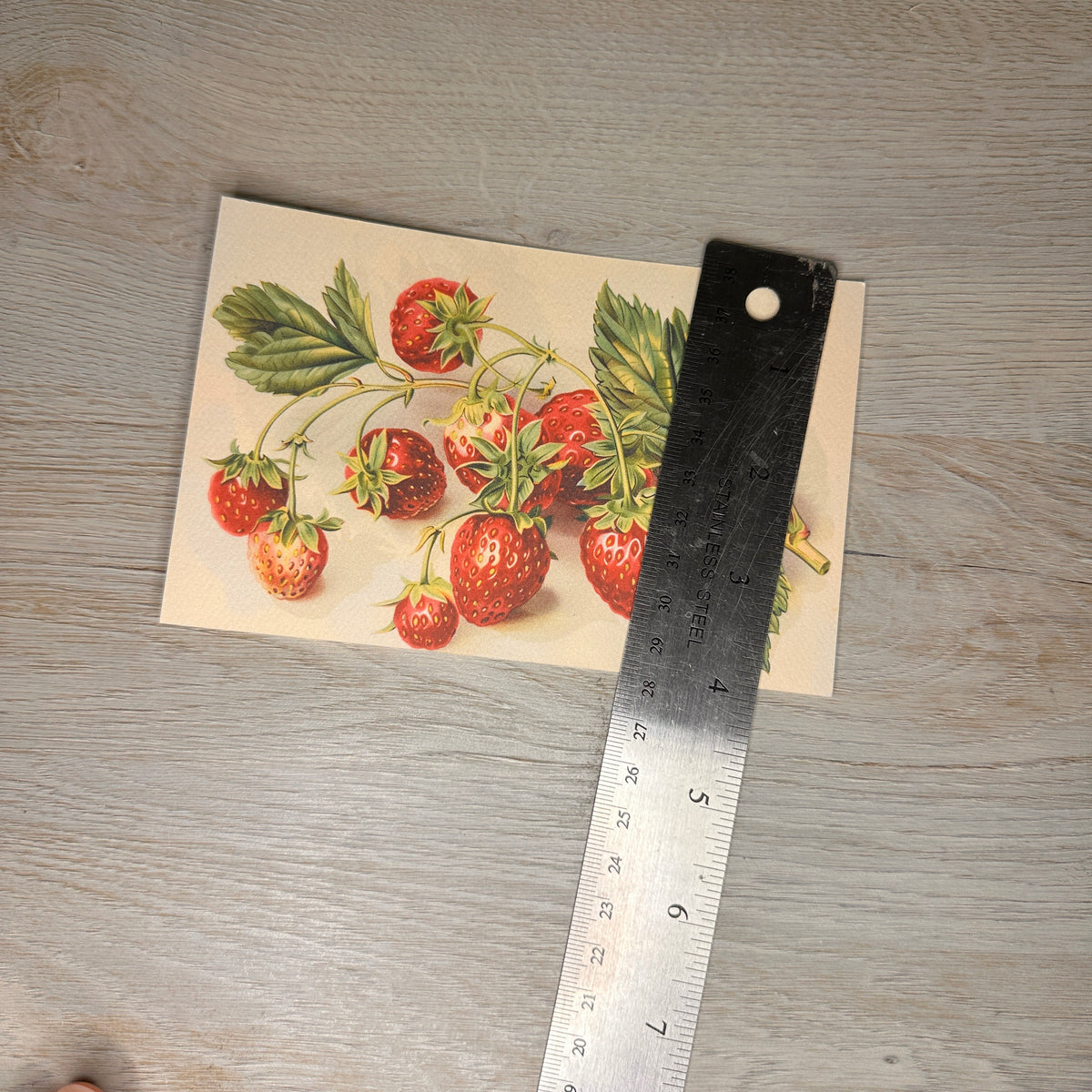 Strawberry postcards