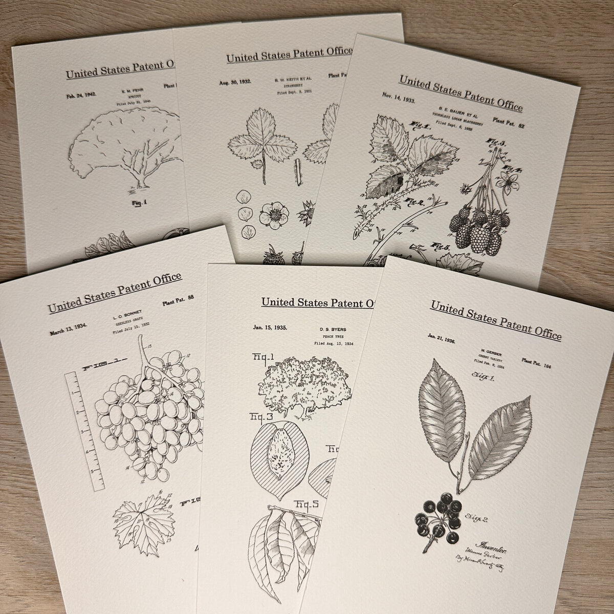 Fruit patent postcards