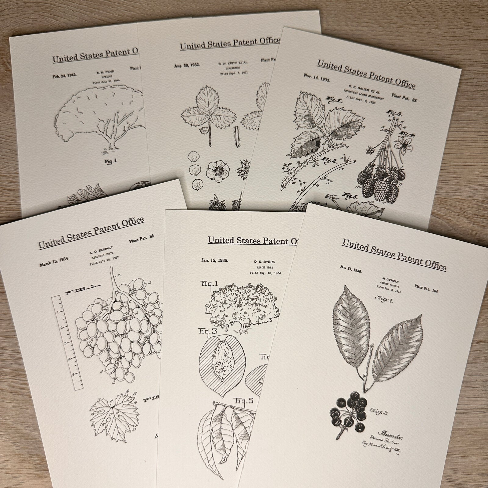 Fruit patent postcards