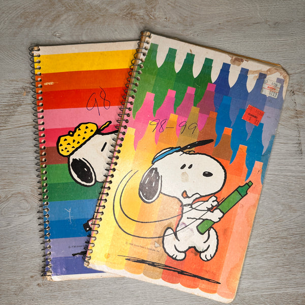 Snoopy notebooks - set of 2 - Plymouth Cards