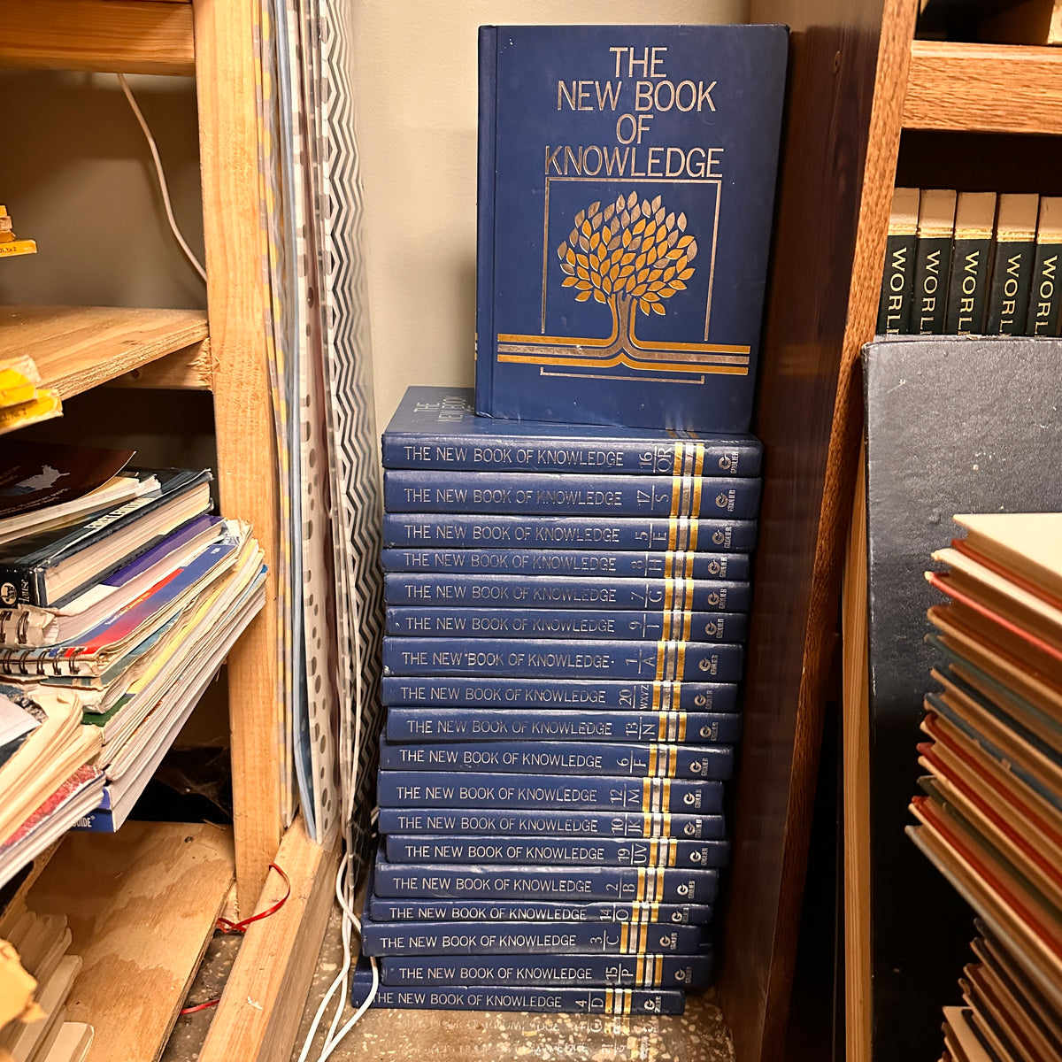 The New Book of Knowledge encyclopedia volumes - 2002