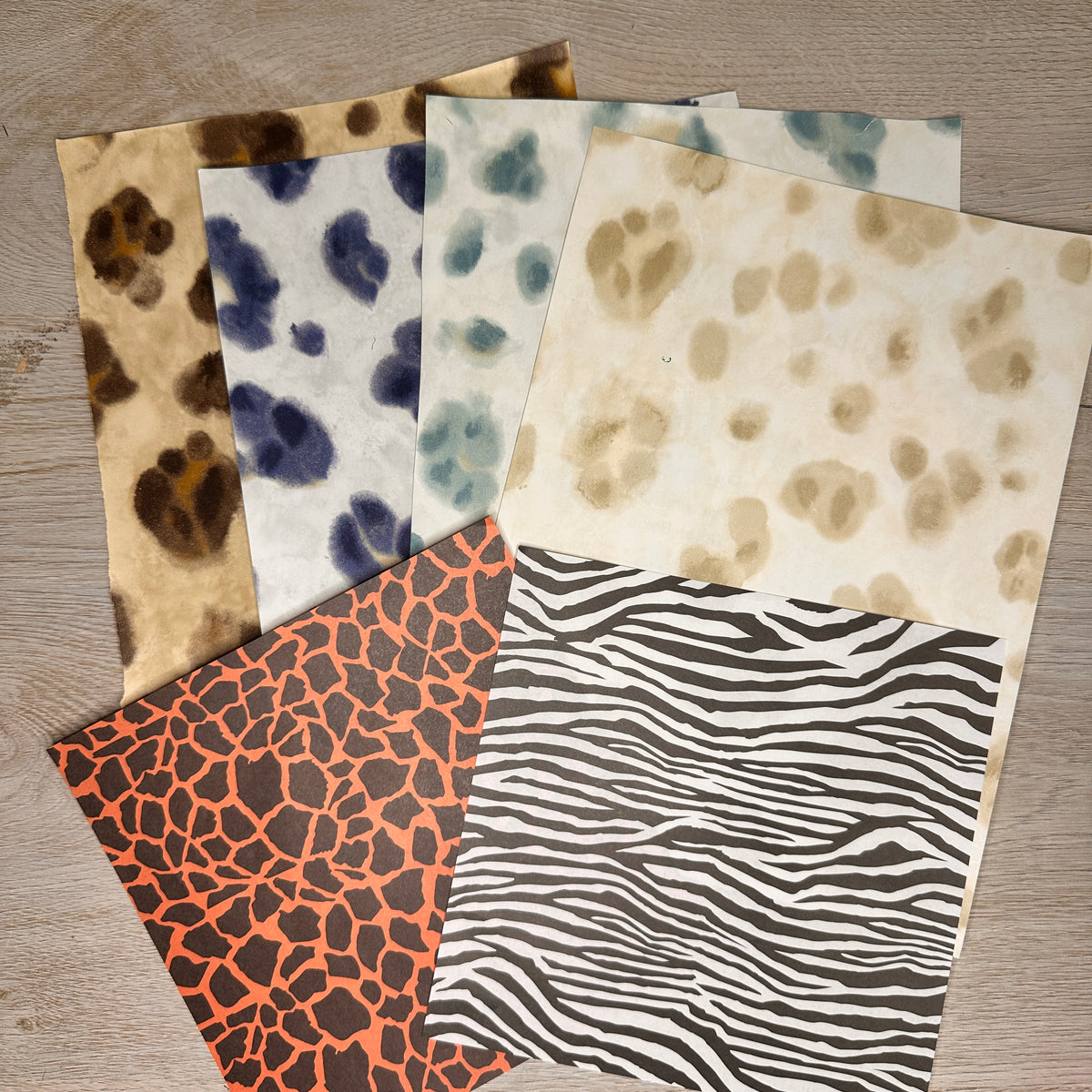 In the Wild grab bag