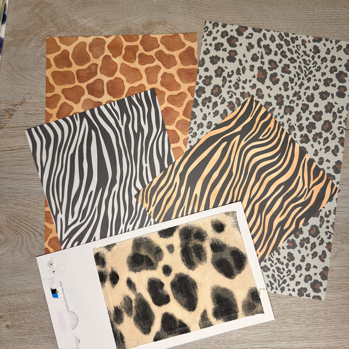 In the Wild grab bag