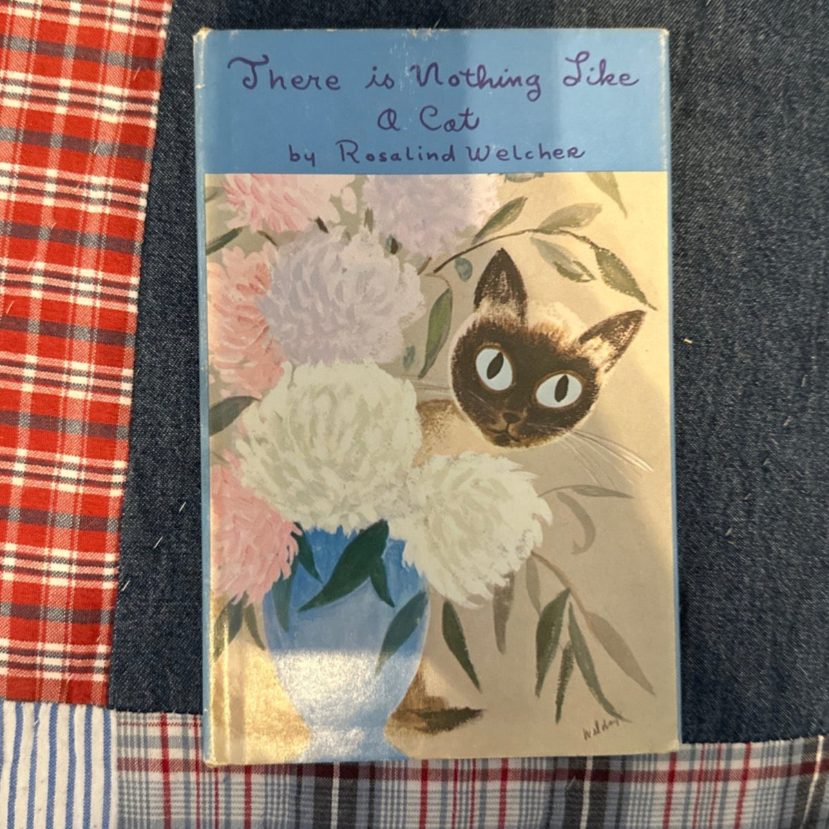 There's Nothing Like a Cat