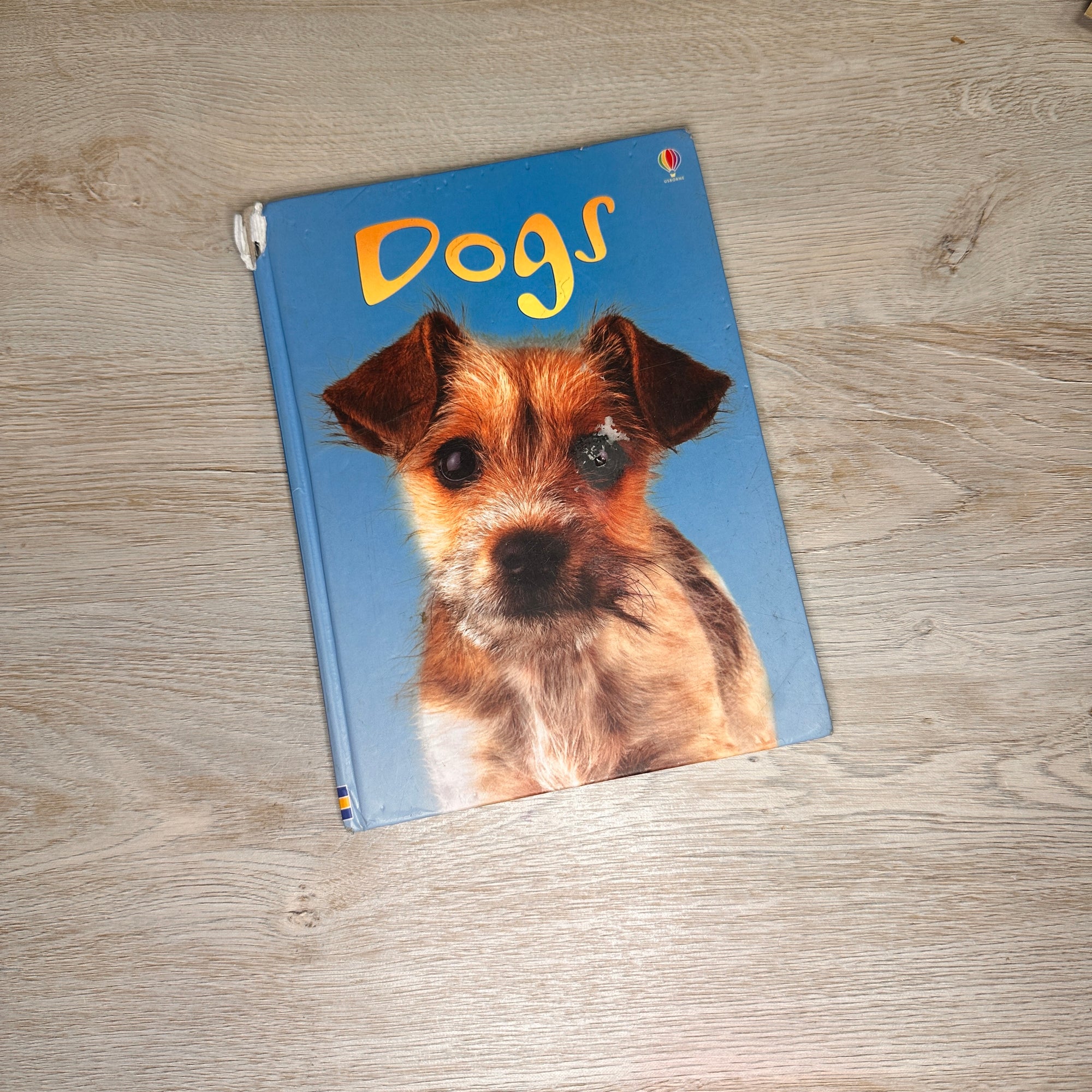 Dogs
