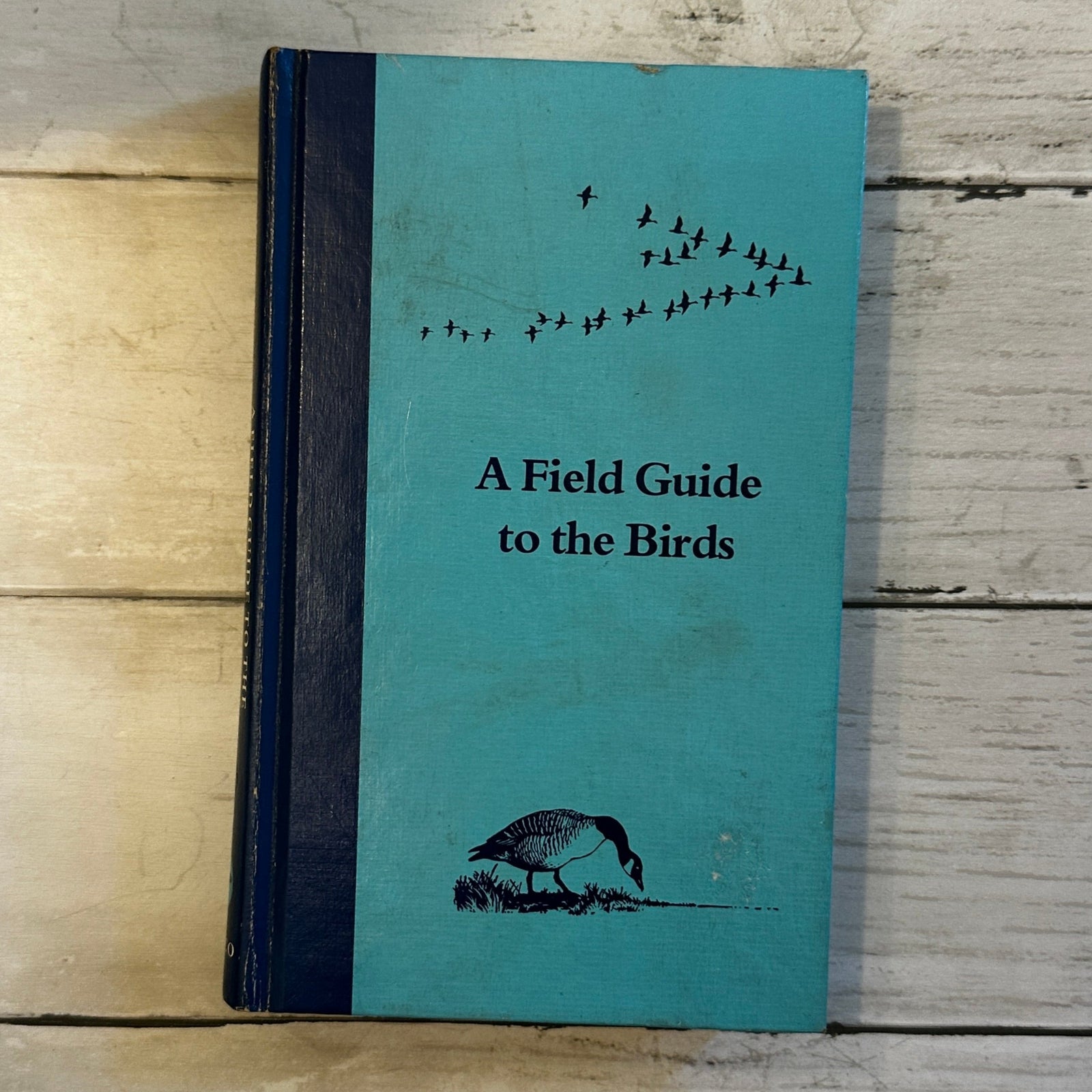A Field Guide to the Birds