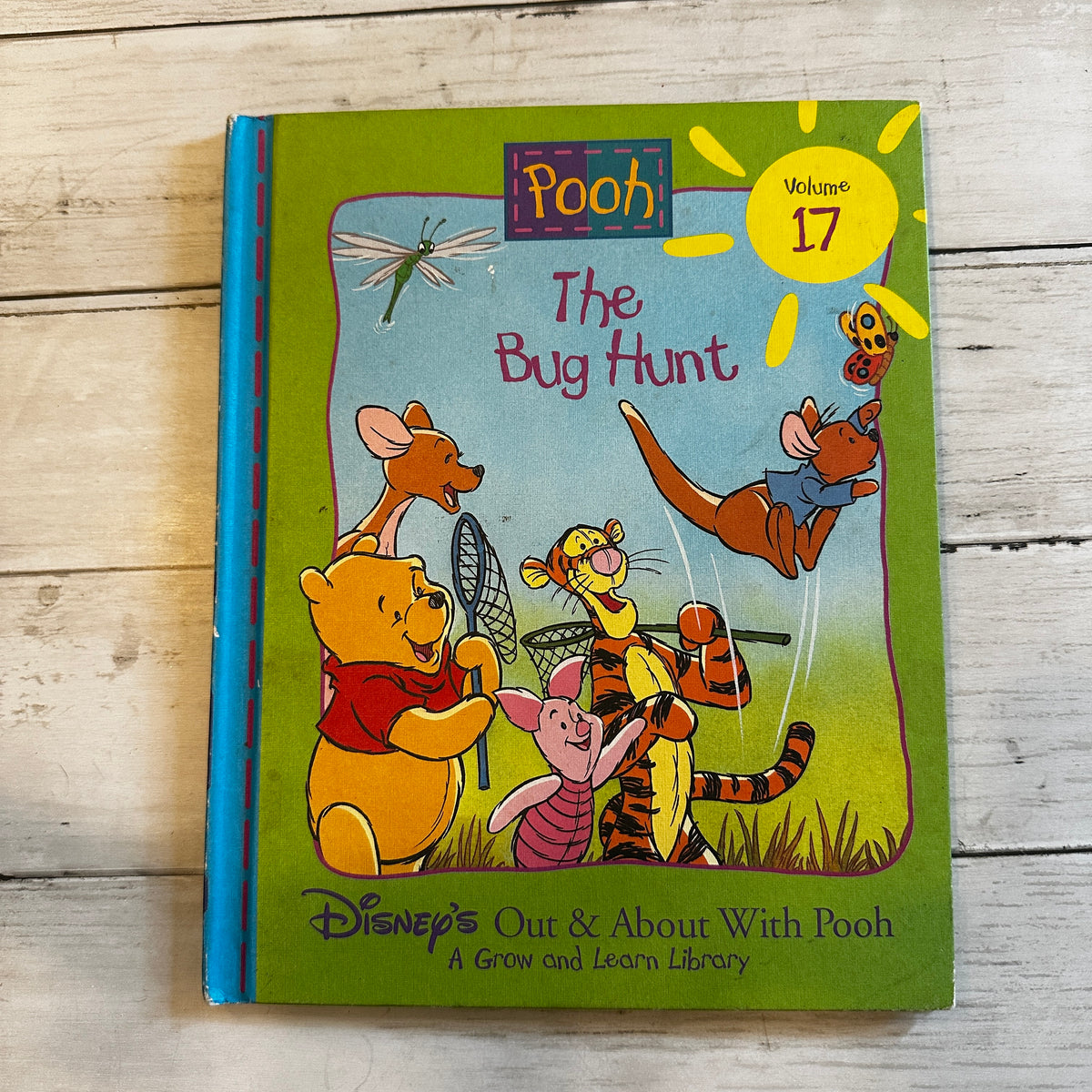 Disney's Out & About With Pooh