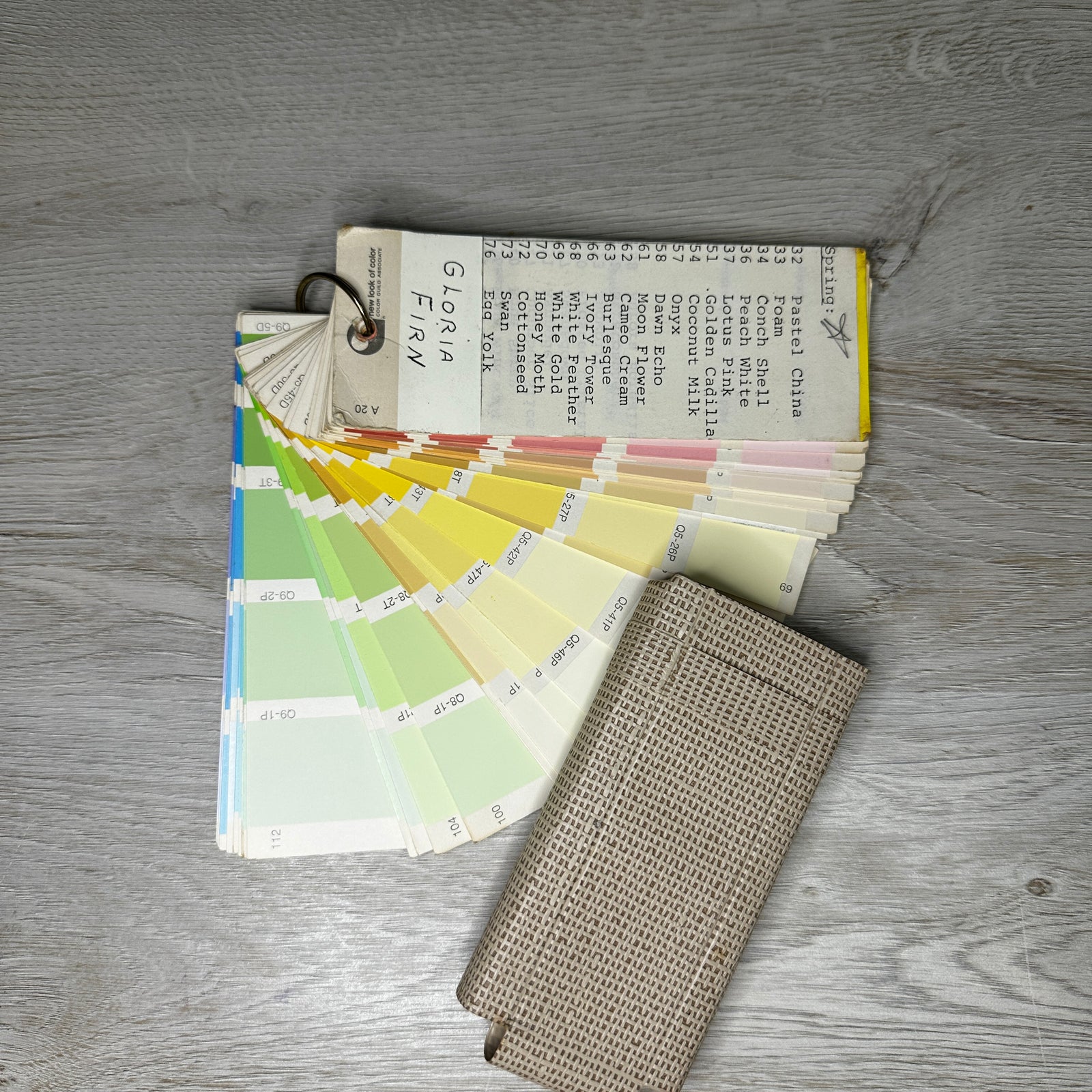 Color Swatches with case