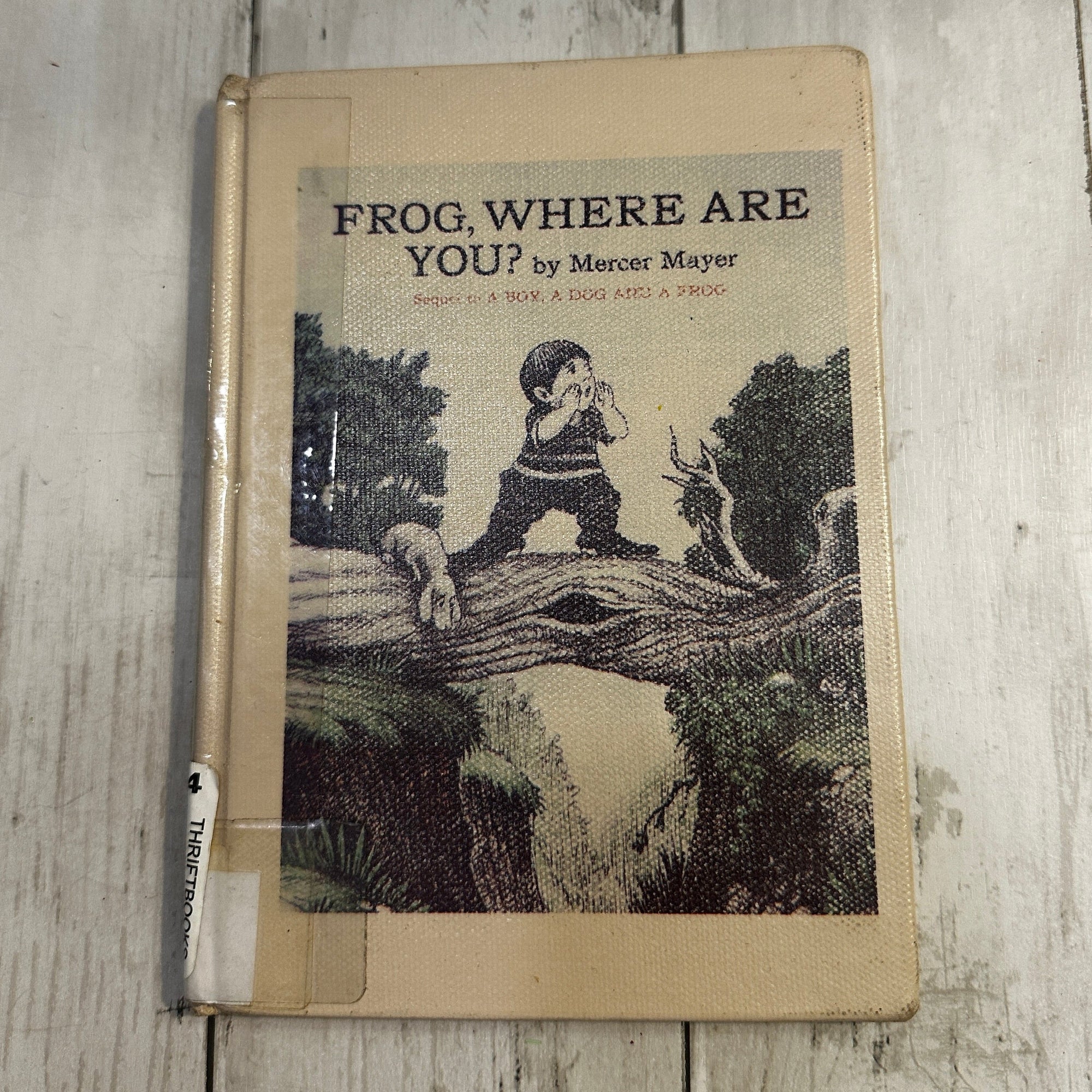 Frog, Where Are You