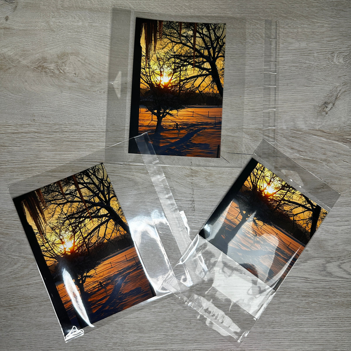 Shaker card clear bags - 3 sizes