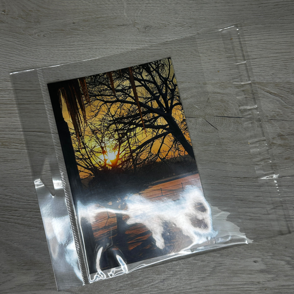 Shaker card clear bags - 3 sizes