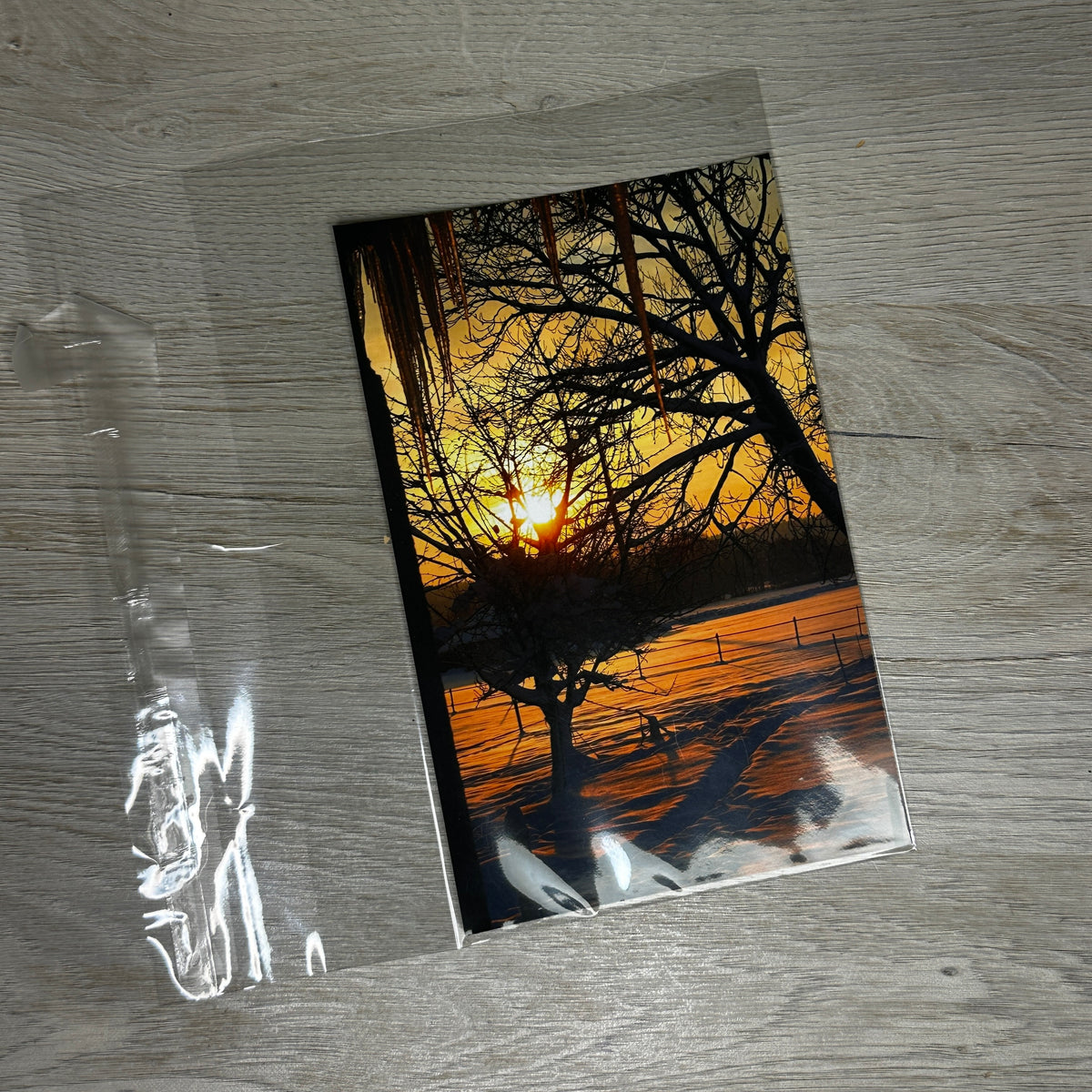 Shaker card clear bags - 3 sizes