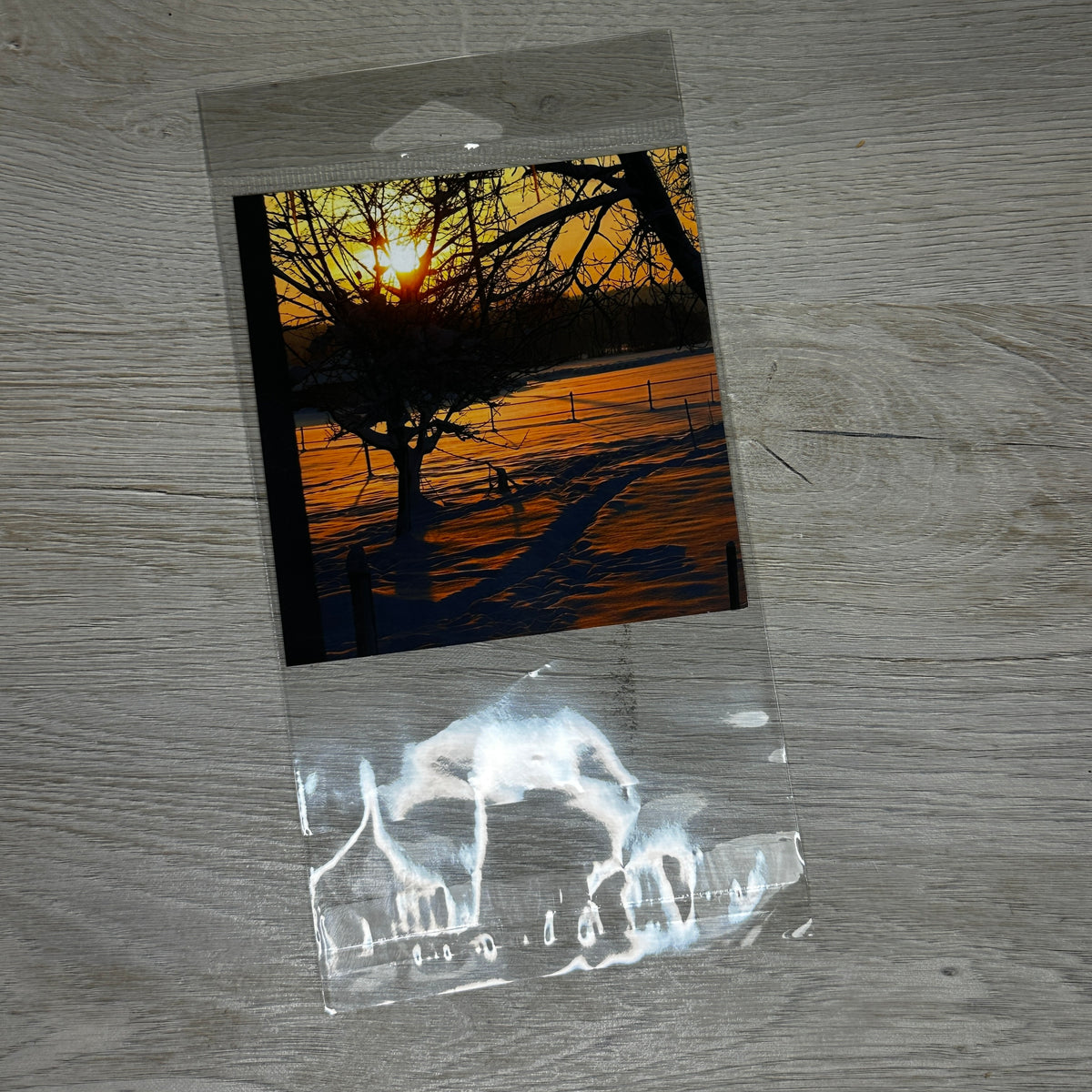 Shaker card clear bags - 3 sizes