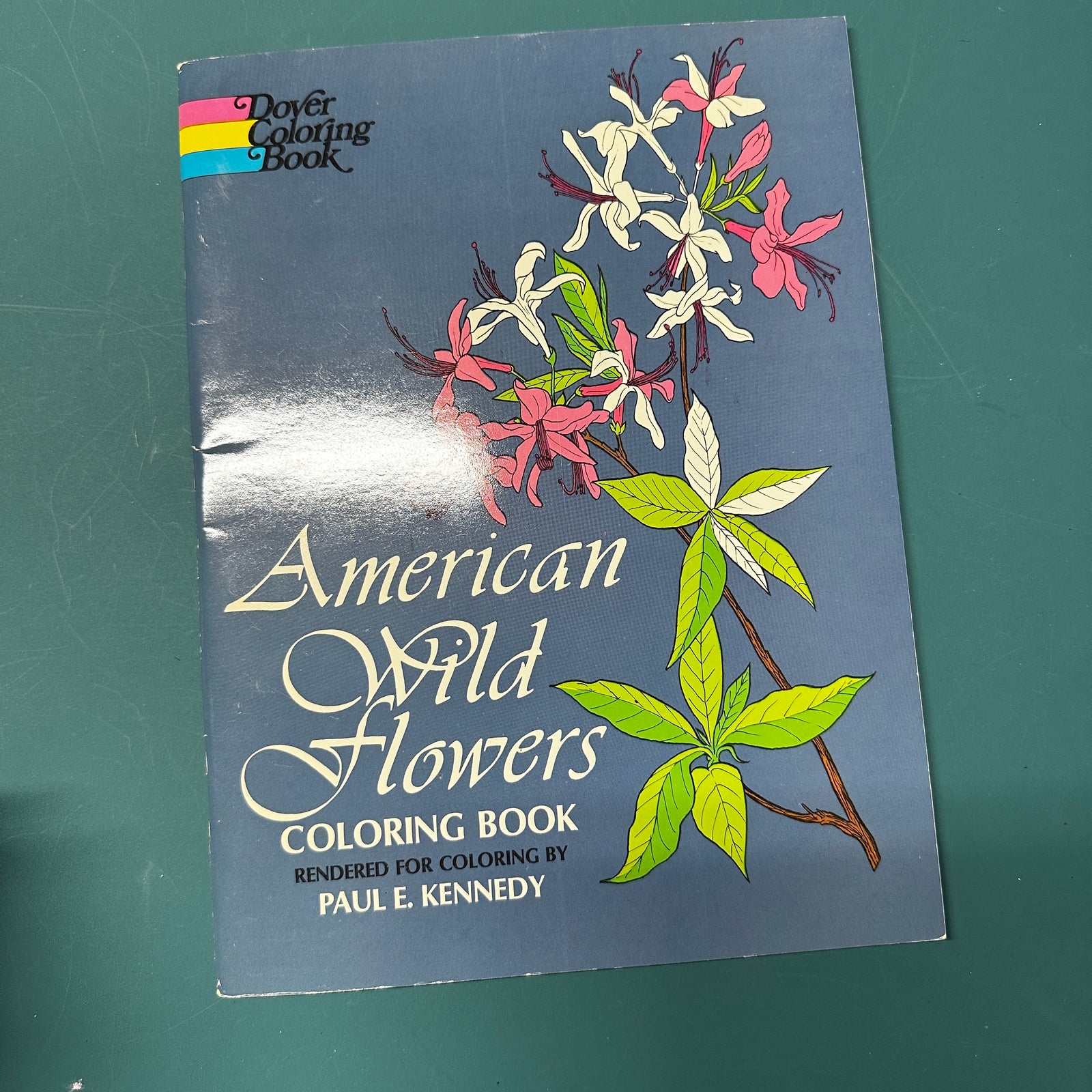 American Wild Flowers coloring book