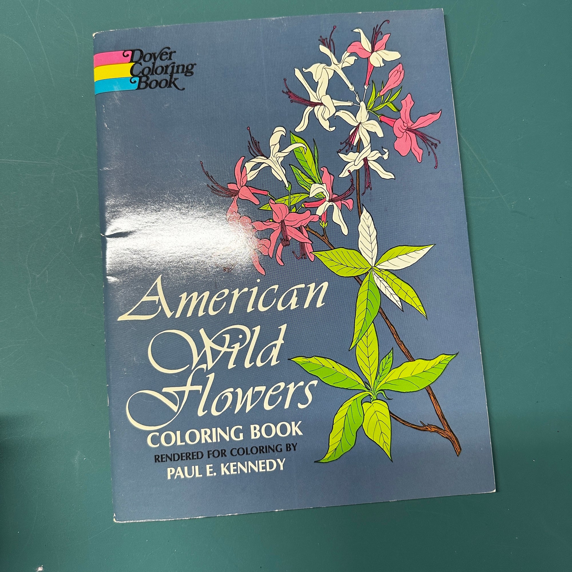 American Wild Flowers coloring book