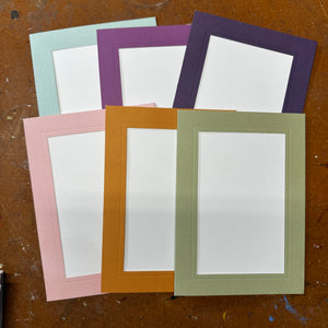 2025 New Colors