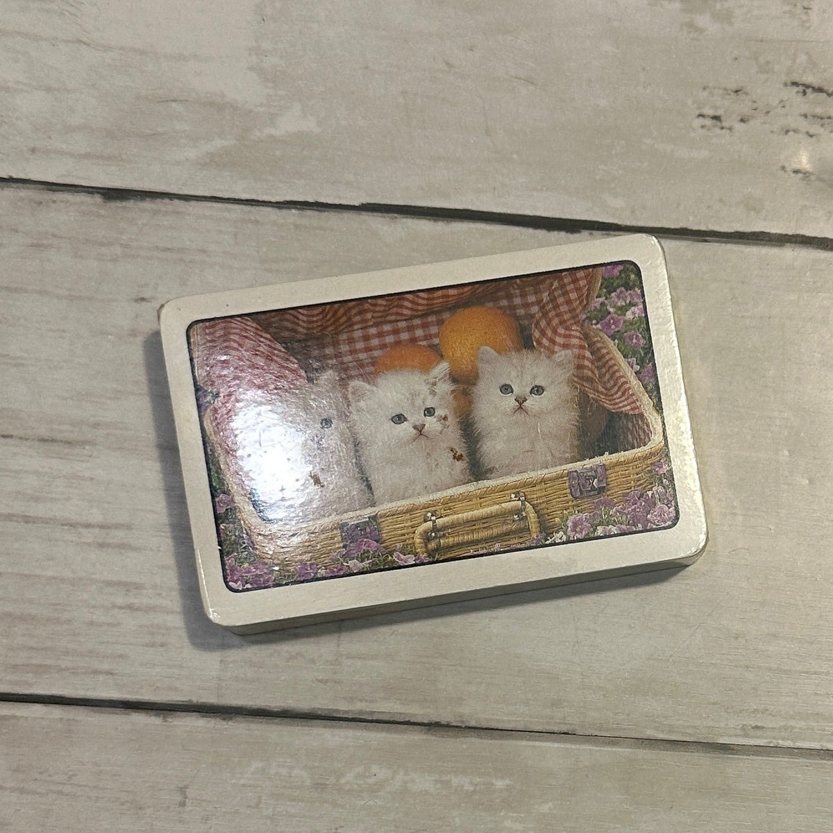 Cats & Dogs playing cards
