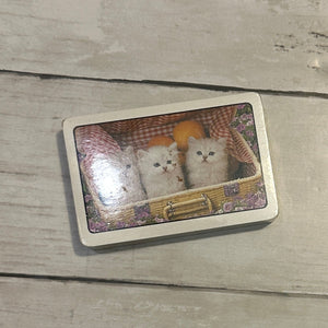 Cats & Dogs playing cards