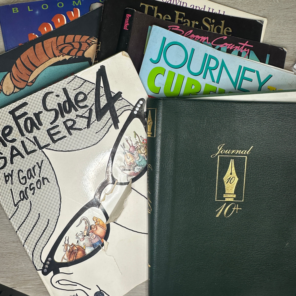 Book cover only - Softcovers