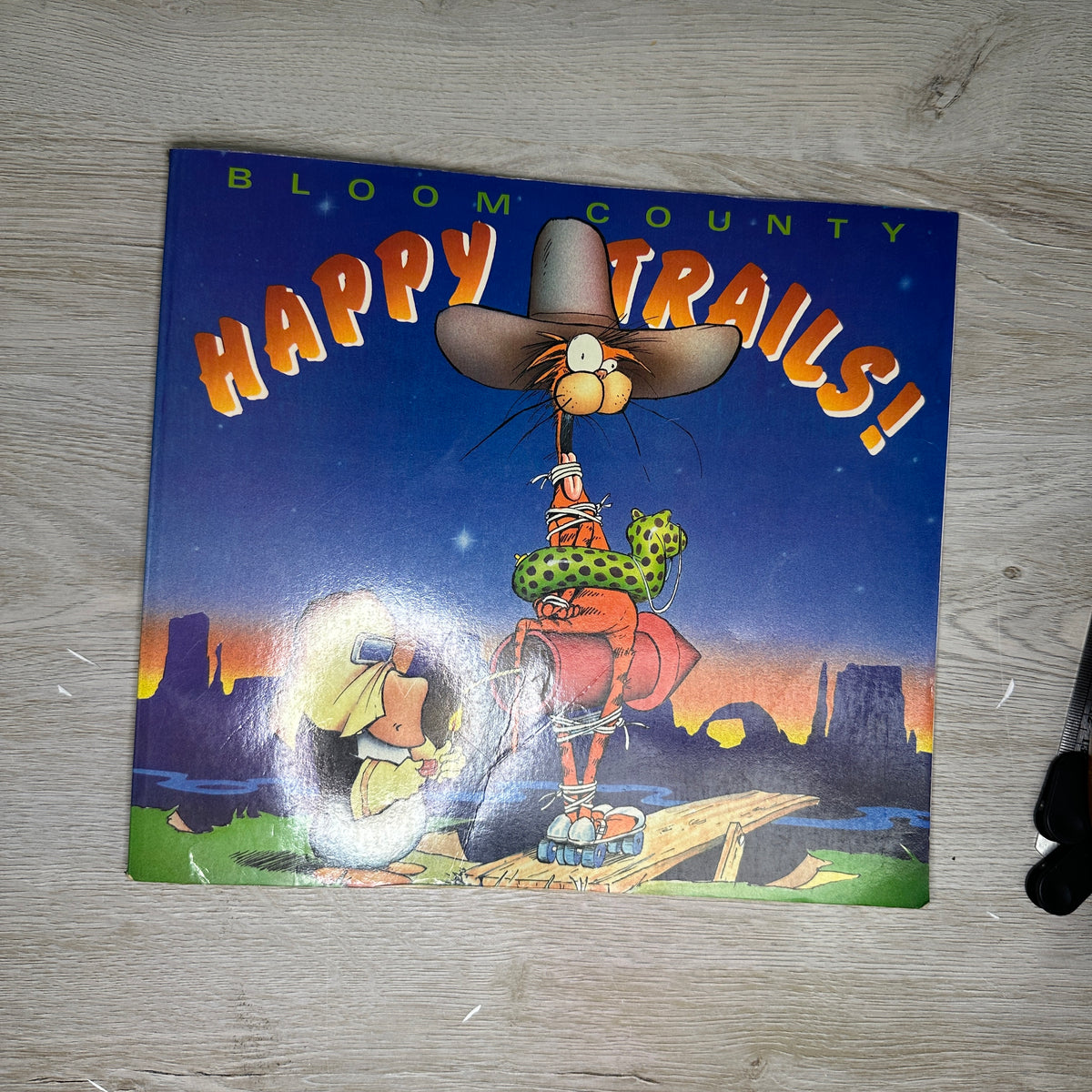 Book cover only - Softcovers