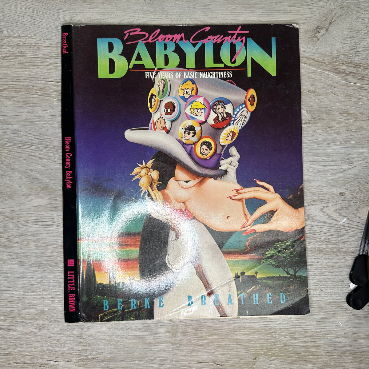 Book cover only - Softcovers