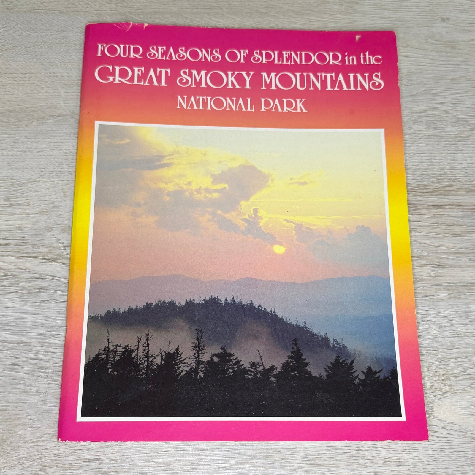 Four Seasons Great Smoky Mountains