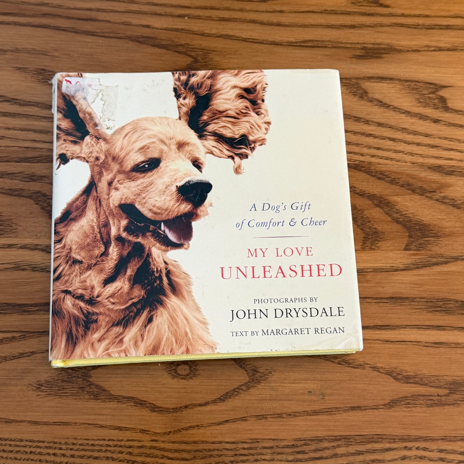 My Love Unleashed: A Dog's Gift of Comfort & Cheer
