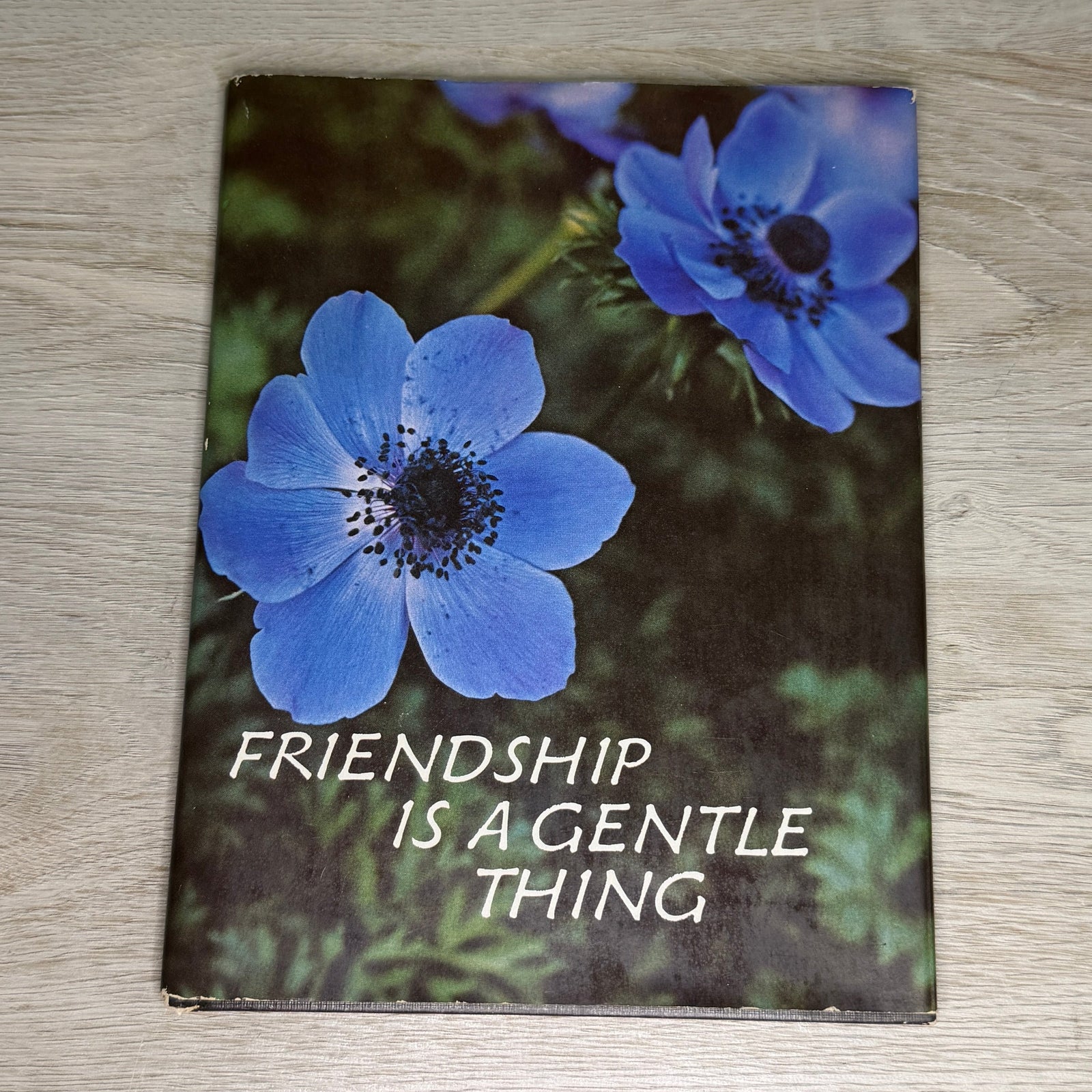 Friendship is a Gentle Thing