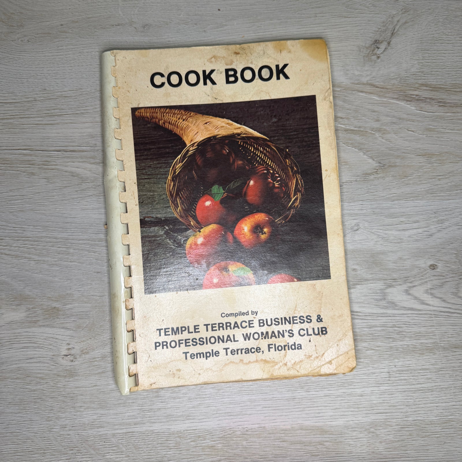 Temple Terrace Cook Book