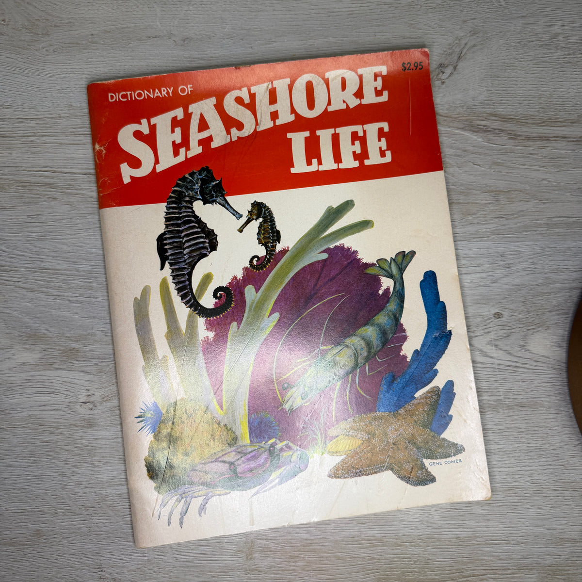 Dictionary of Seashore Life