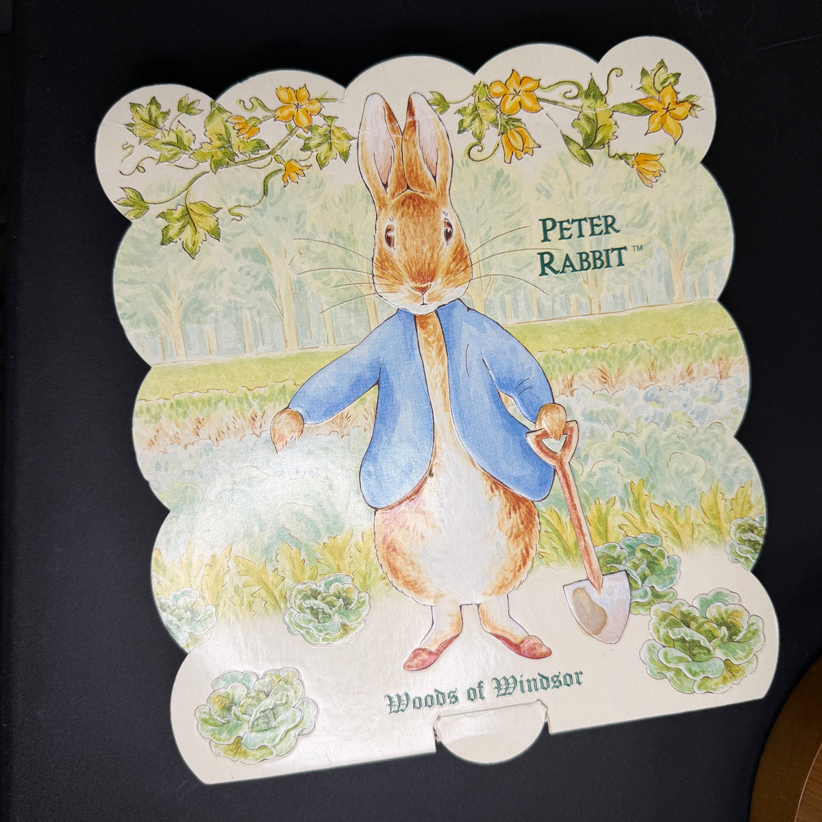 Peter Rabbit box - Empty