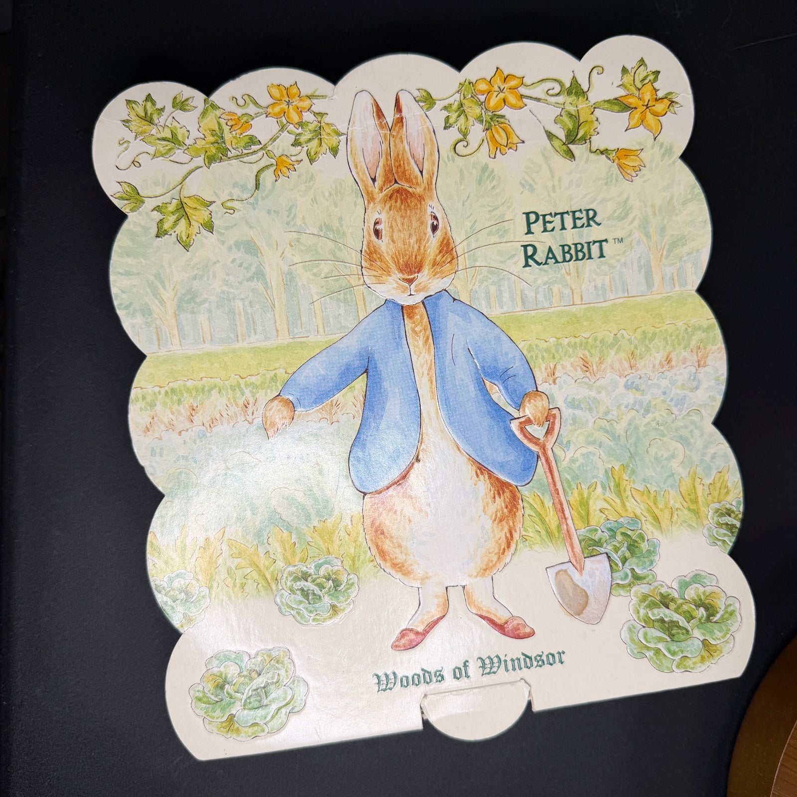 Peter Rabbit box - Empty