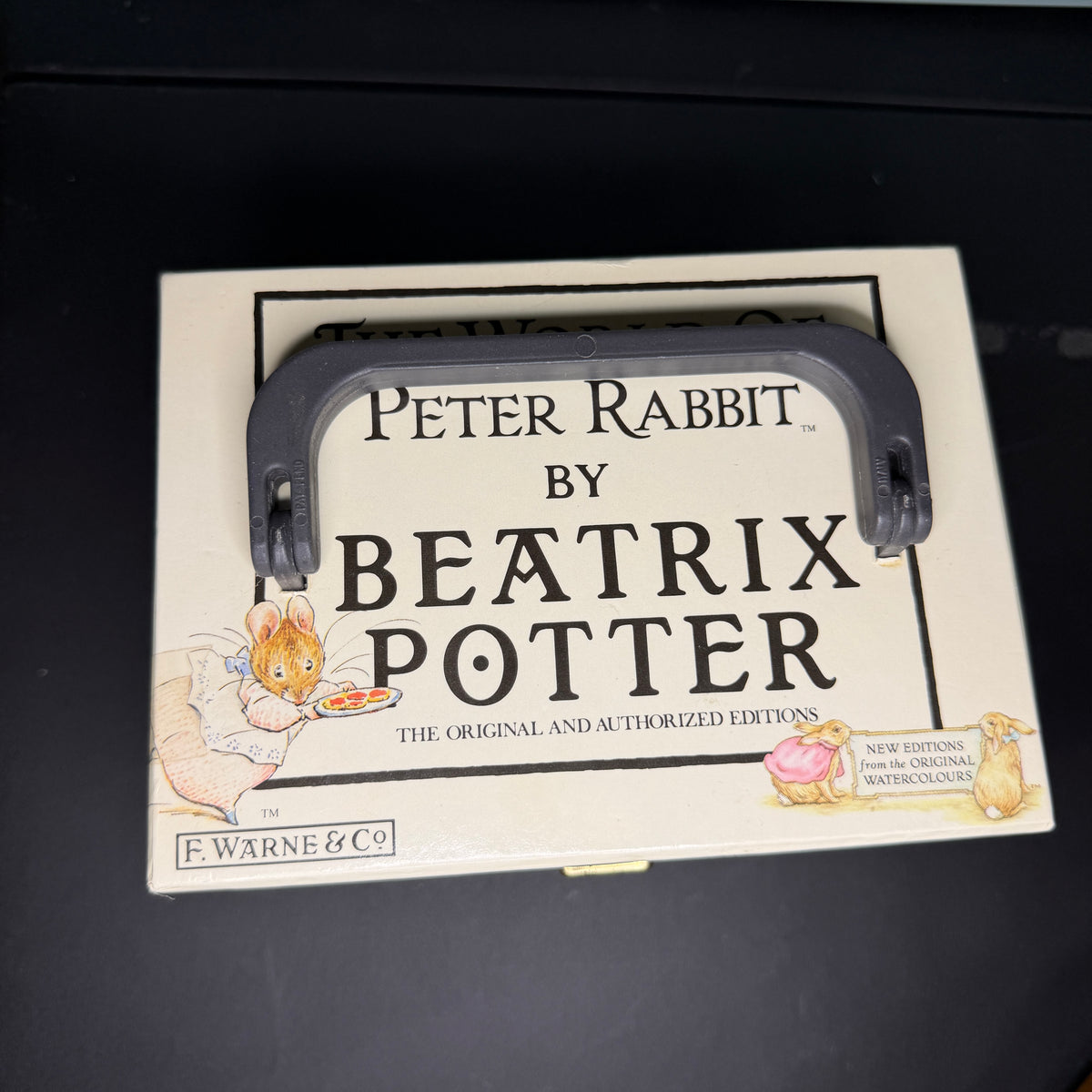 Peter Rabbit case - Empty