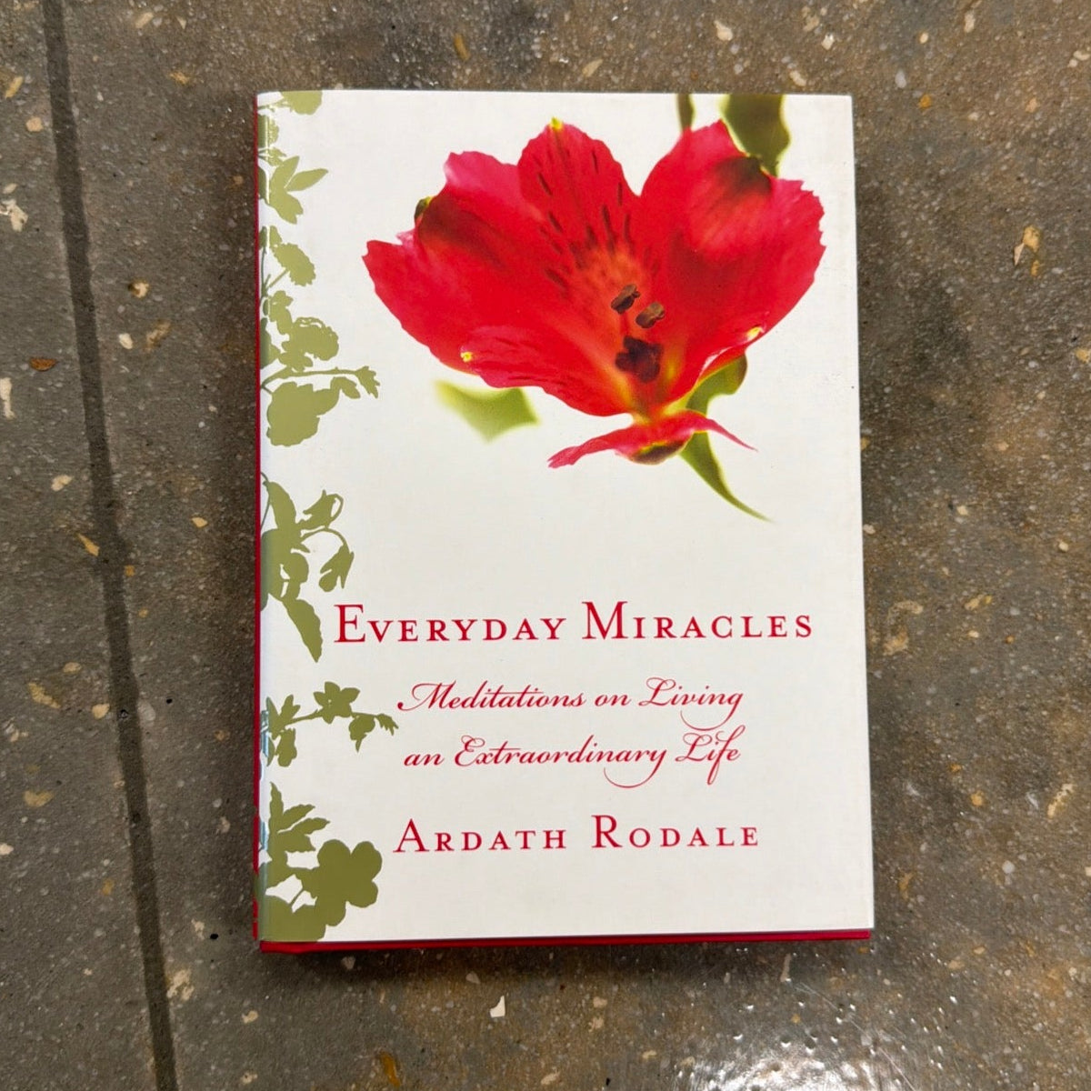 Everyday Miracles