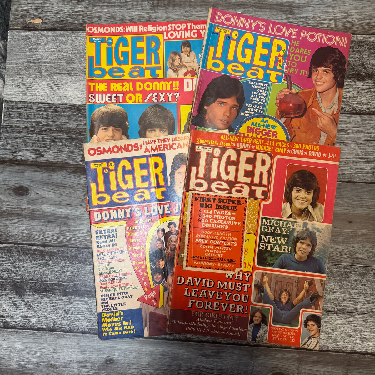 Tiger Beat Super Big Issue magazines