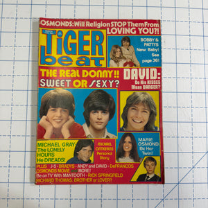 Tiger Beat Super Big Issue magazines
