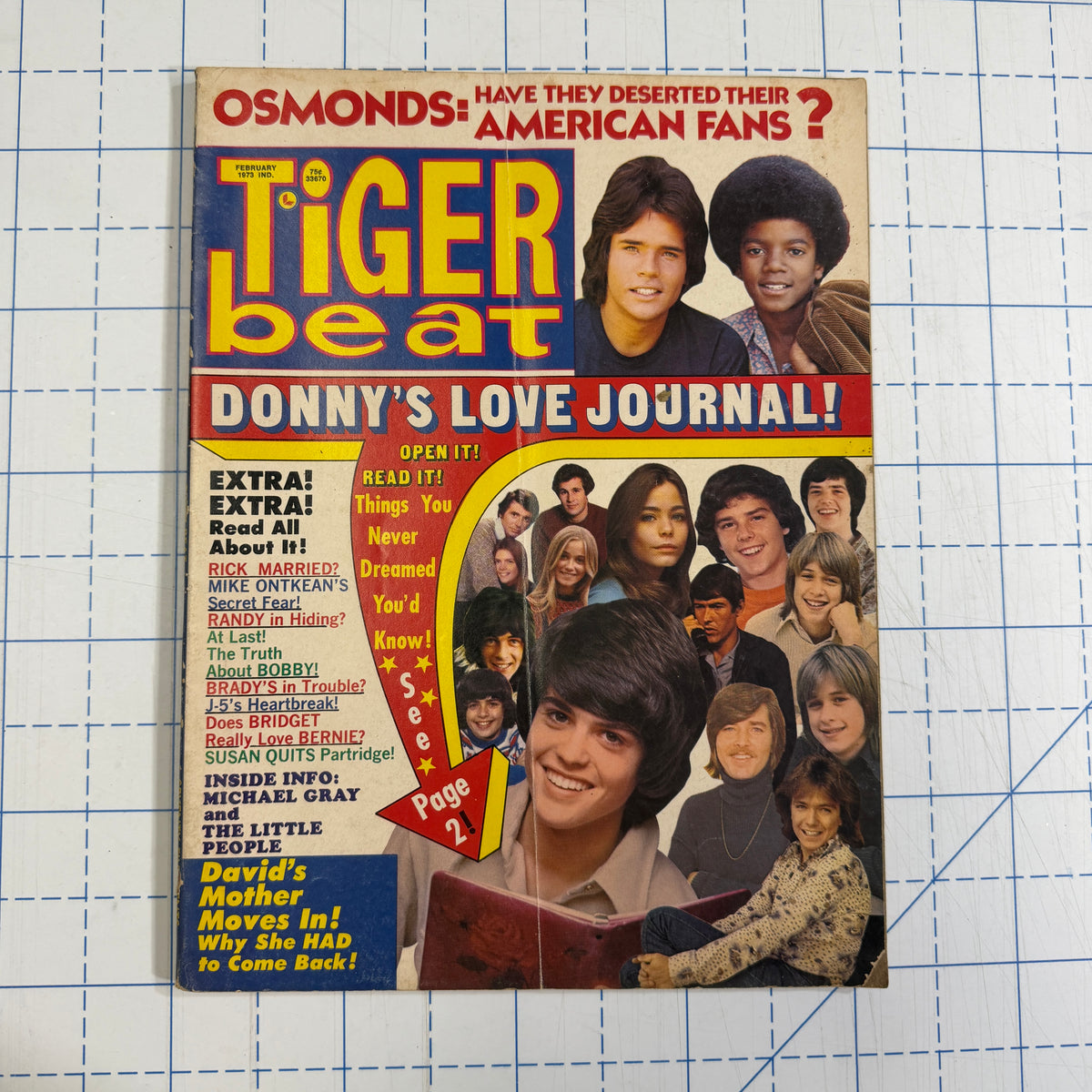 Tiger Beat Super Big Issue magazines