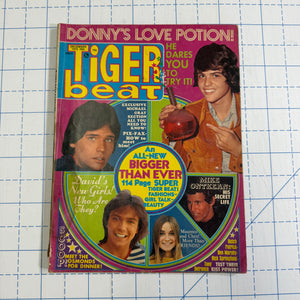 Tiger Beat Super Big Issue magazines