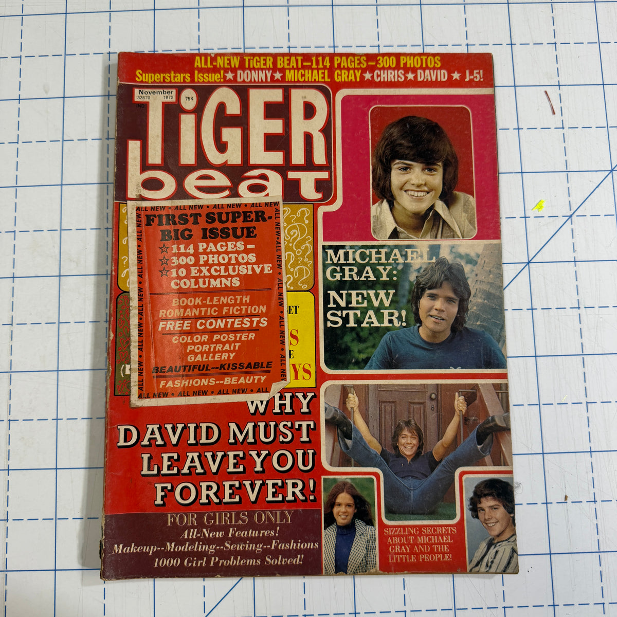 Tiger Beat Super Big Issue magazines