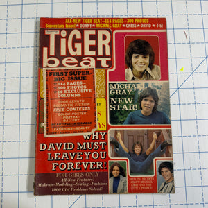 Tiger Beat Super Big Issue magazines