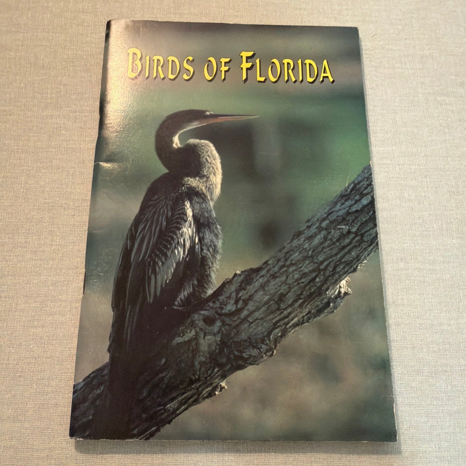 Birds of Florida