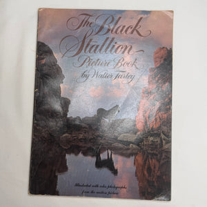 The Black Stallion Picture Book