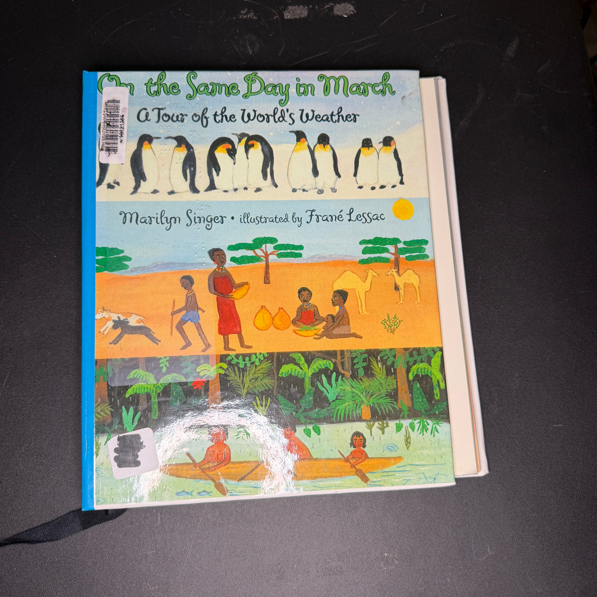 Braille books
