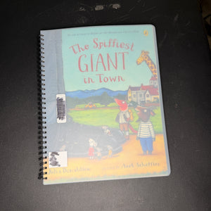 Braille books