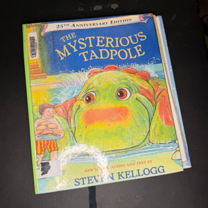 Braille books