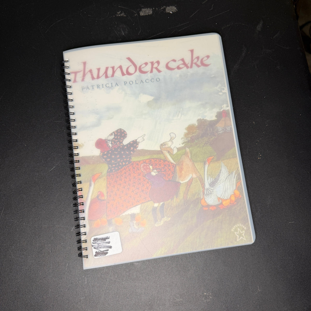 Braille books