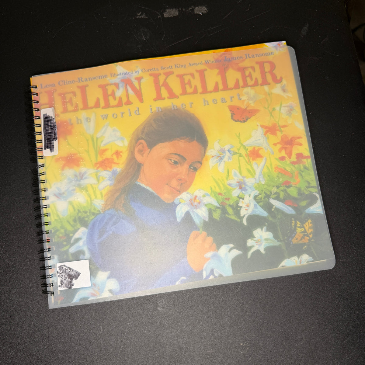 Braille books