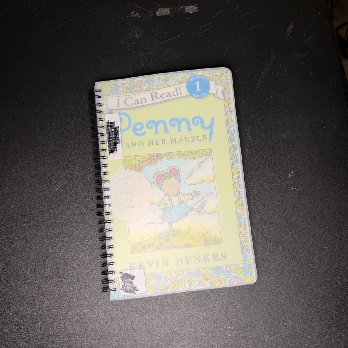Braille books