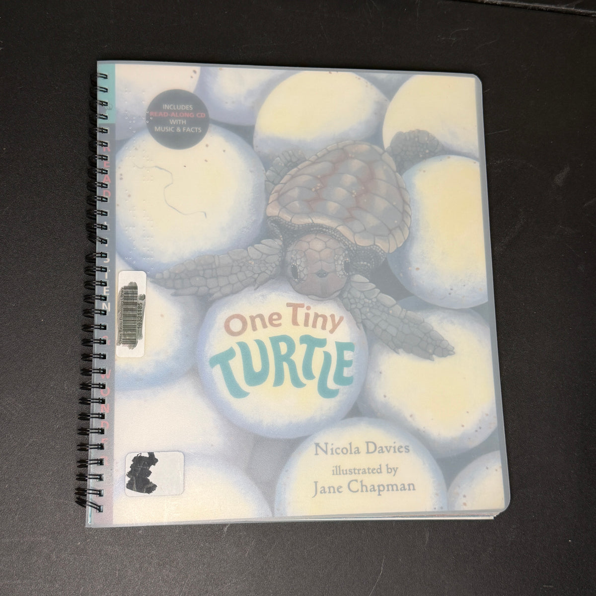 Braille books